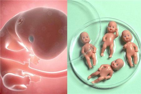 方鉴生殖医学中心 · 门诊环境